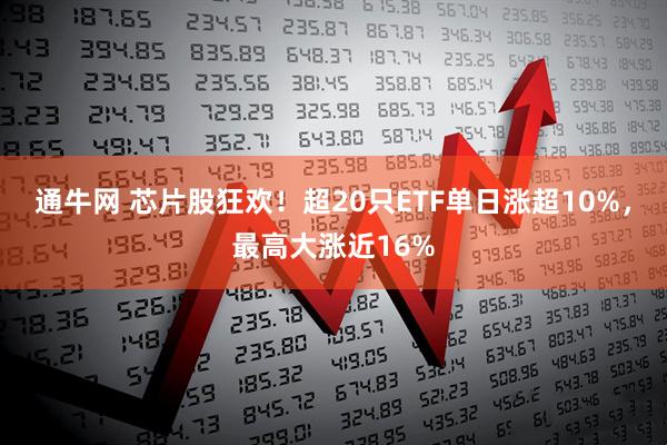 通牛网 芯片股狂欢！超20只ETF单日涨超10%，最高大涨近16%