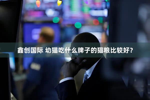 鑫创国际 幼猫吃什么牌子的猫粮比较好？