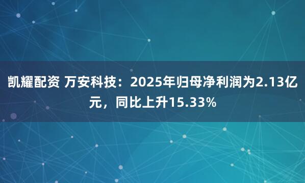 凯耀配资 万安科技：2025年归母净利润为2.13亿元，同比上升15.33%