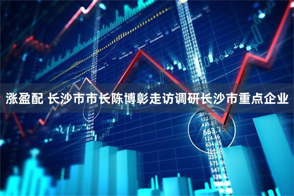 涨盈配 长沙市市长陈博彰走访调研长沙市重点企业